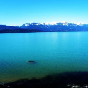 Meet your Posher, Bailey